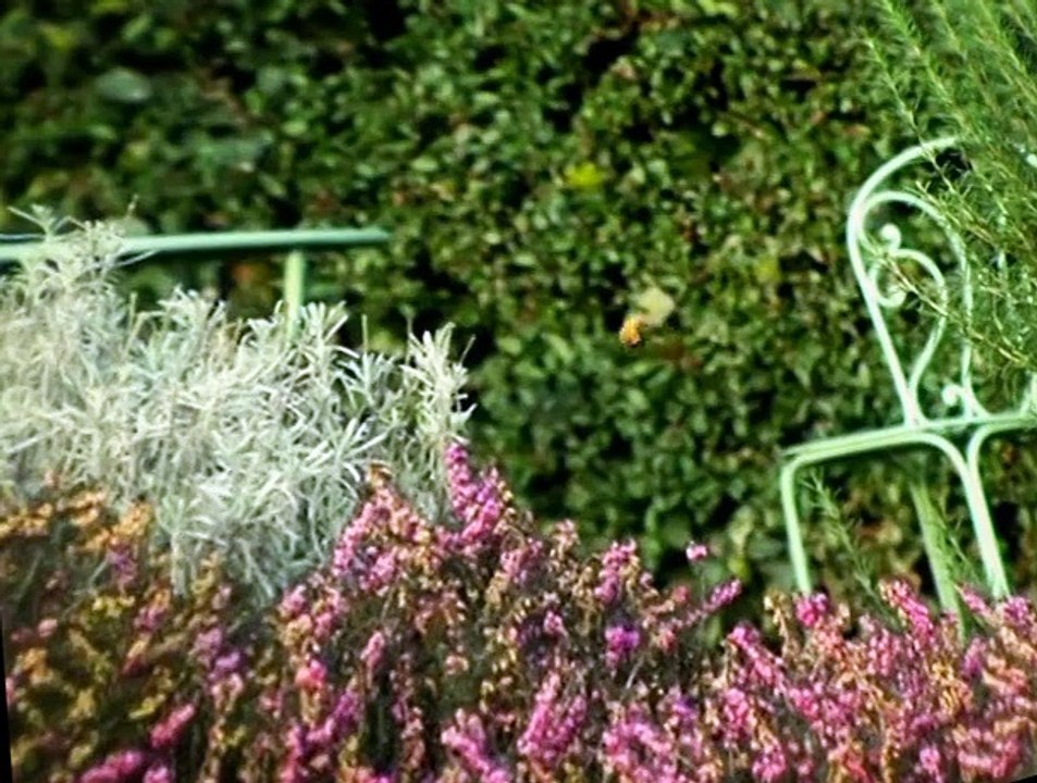 Minuscule S01 E06
