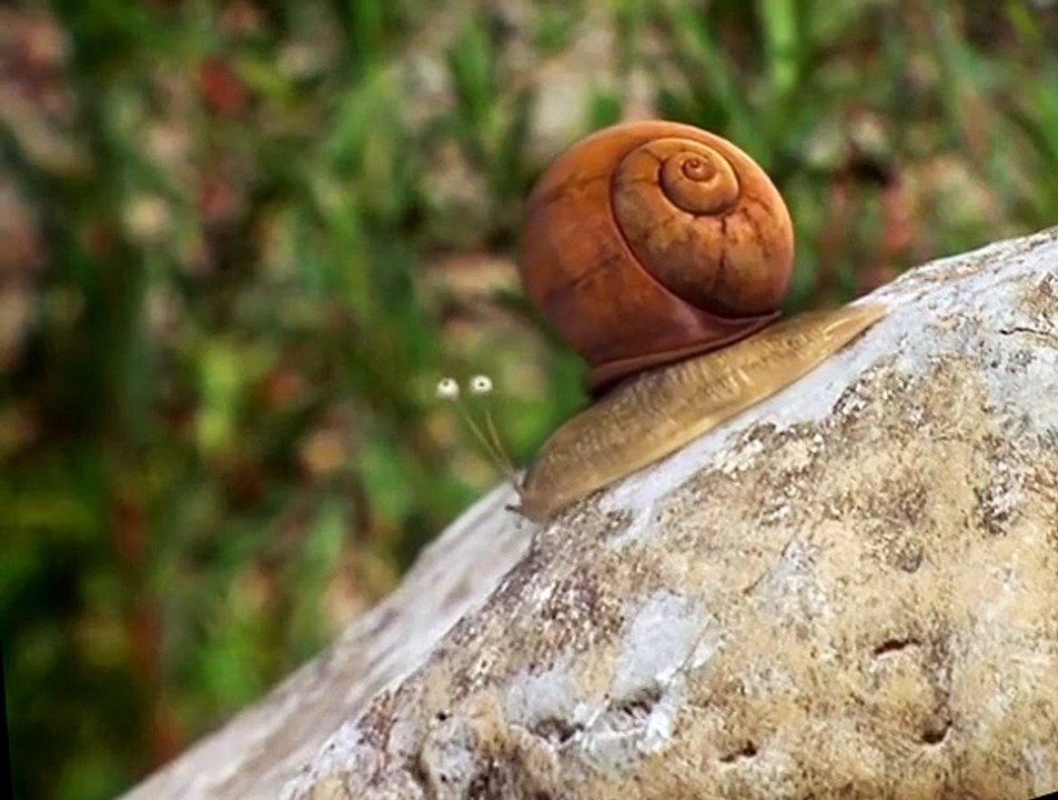 Minuscule S01 E07