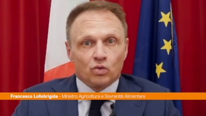 Lollobrigida "Expocook dimostra la voglia delle imprese di ripartire"