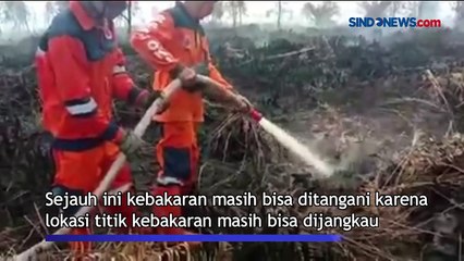 Download Video: Ratusan Hektare Lahan di Ogan Komering Ilir Mulai Terbakar