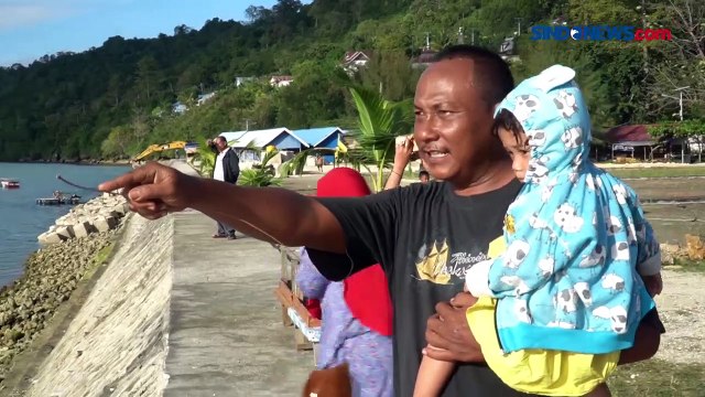 Kawanan Paus Hiu Muncul di Perairan Dangkal Baubau