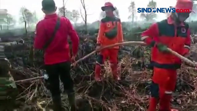 Ratusan Hektar Lahan Gambut di Ogan Komering Ilir Hangus Terbakar, Begini Kondisinya