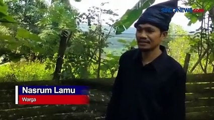 Heboh, Paus Raksasa Terdampar Dalam Keadaan Hidup di Kajang