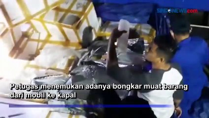 Polisi Gagalkan Penyelundupan 250 Ribu Ekor Baby Lobster Senilai Rp27 Miliar
