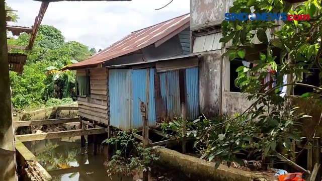 Monyet Liar Masuk Pemukiman Warga di Berau dan Kerap Curi Pakaian