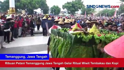 Ribuan Petani Temanggung Jawa Tengah Gelar Ritual Wiwit Tembakau dan Kopi
