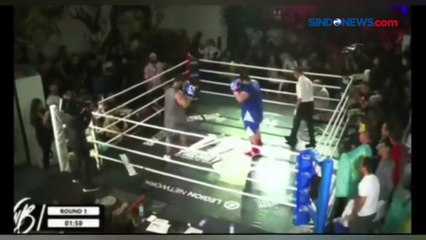 Kisah Hulk dari Iran Sajad Gharibi yang Dipermalukan di Ring Tinju