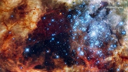 Ao Vivo | Hubble vs SpaceX: um novo duelo no espaço | 03/03/2023 | #OlharDigital (61)