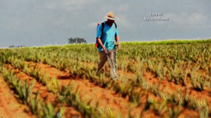 O Veneno Está na Mesa II | movie | 2014 | Official Trailer