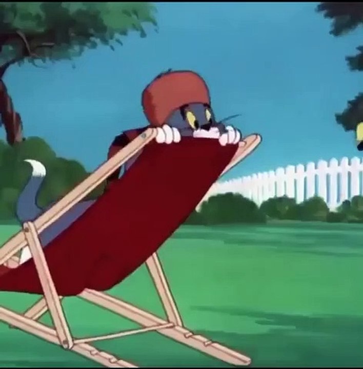 Funny cartoon tom & Jerry video Dailymotion