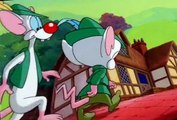 Pinky, Elmyra & the Brain Pinky, Elmyra & the Brain E008 Narfily Ever After