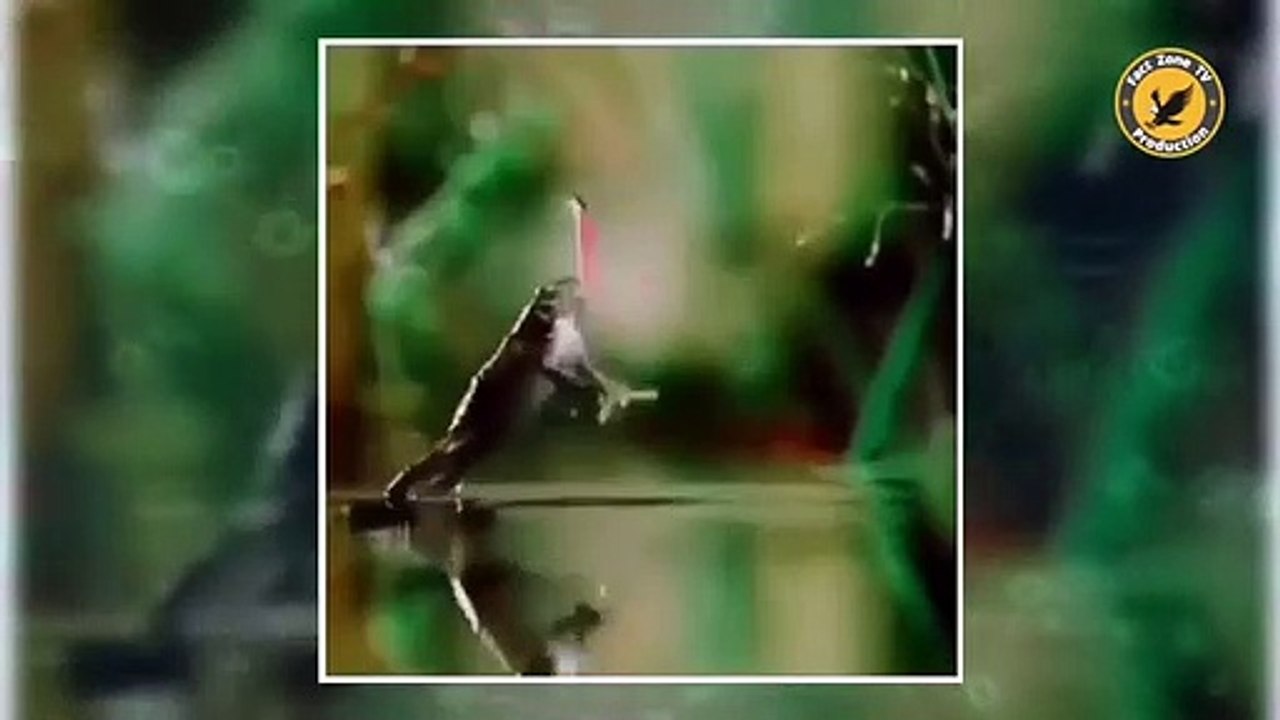 इन जानवरों से पंगा ना बाबा ना _ Funny Animal Videos 2022 - Part 5