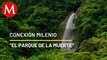 Estampas del Parque Nacional Tapantí, Costa Rica | Conexión Milenio