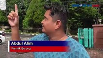 Kerap Juara Kontes, Burung Murai Batu di Pangkalan Bun Digondol Maling dengan Mobil