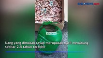 Viral, Uang Rp50 Juta Penjaga Sekolah di Solo untuk Naik Haji Rusak Dimakan Rayap