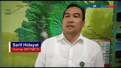 Viral Turis Kencingi Kawah Bromo, TNBTS Tegur Keras