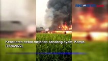 Kandang Terbakar, Ribuan Ayam Hangus di Bekasi