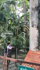 Thanh niên vào vườn thú tư vấn “chốt sale”: Khách hàng này lạ lắm, cứ leo trèo suốt