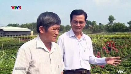 Giai điệu bình yên Tập 41+ Tập 42, Phim Hàn Quốc, lồng tiếng, bản đẹp, cực hay