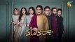 Mere Damad - Episode 25  [ Washma Fatima - Humayun Ashraf ] 2nd February 2023 - HUM TV_