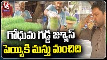 Health Benefits of Wheatgrass , Public Shows Interest To Drink Daily Morning _ V6 News