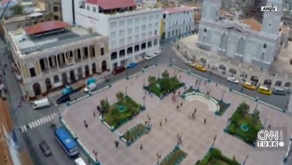 Yolcu uçağı kuşlara çarptı