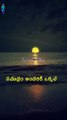 సముద్రం అందరికీ ఒక్కటే #shorts #shortsfeed #viral #trending #sea #youtubeshorts