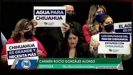 ¡Por exhibir su falta de ortografía! ¡panista de 'Chiuahua' ataca a Senadora de MORENA!