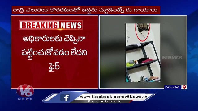 Rats Hulchul In Kakatiya University Girls Hostel , Two Students Injured _ Warangal _ V6 News