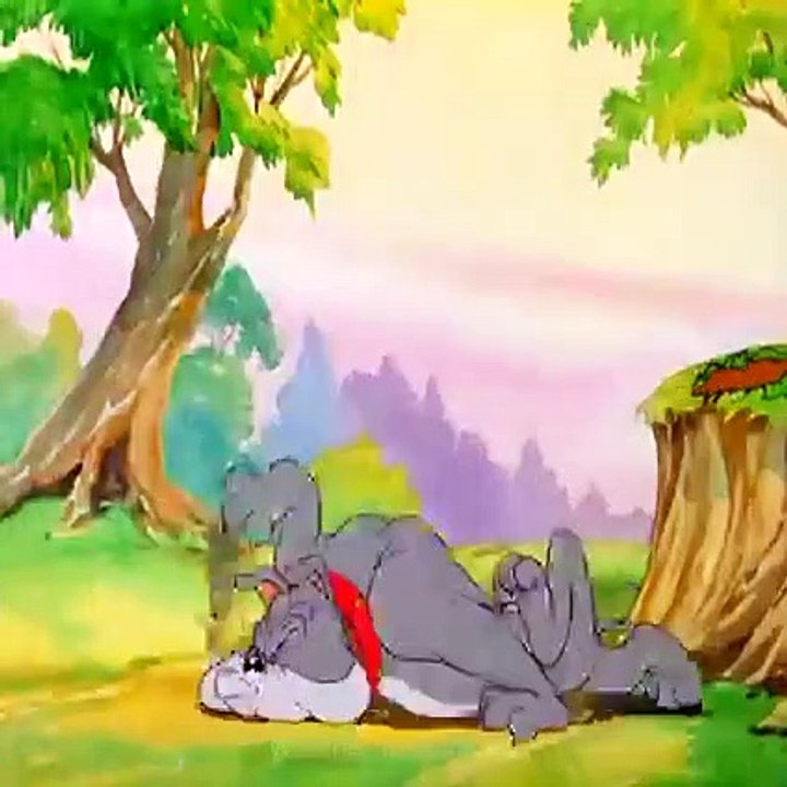 Tom Jerry Cartoon Network
