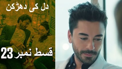 دل کی دھڑکن   Heart Beat  Episode 23