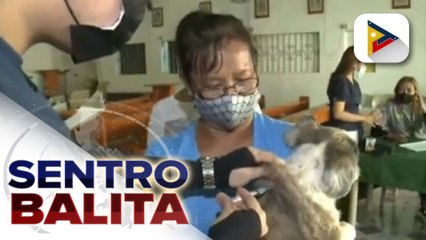BAI at LGUs, nagpaalala sa publiko na bakunahan ng anti-rabies ang mga alagang pusa’t aso lalo ngayong Rabies Awareness Month