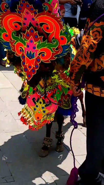 very cool dancing horse