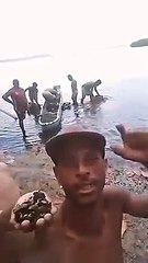 Sururu reaparece na Lagoa Mundaú após dez meses