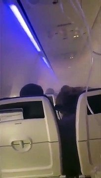 Passengers panic, screams as flight engine catches fire after bird strike