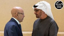 UAE President and Mauritanian counterpart hold talks on strengthening ties
