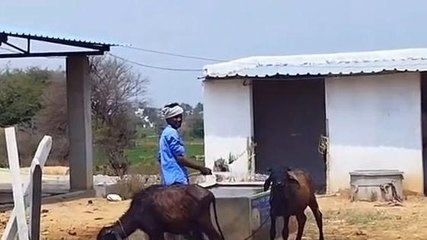 సిద్దిపేట: ఎస్సీ కార్పొరేషన్‌ రుణాలతో సొంత వ్యాపారం