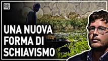 Destra e Sinistra vogliono più immigrati in Italia per nascondere il vero nemico