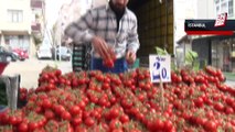 İhracat yasağının ardından domatesin fiyatı yüzde 40 düştü