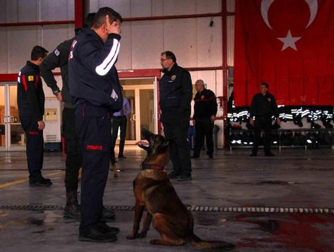 İtfaiye erinin eğittiği arama kurtarma köpekleri 18 kişinin hayatını kurtardı