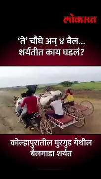 बैलगाडा शर्यतीत अपघात, व्हिडीओ पाहून अंगावर काटा येईल