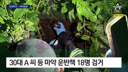 “월 천만 원”에 10대도 마약 운반…회사처럼 운반책 관리