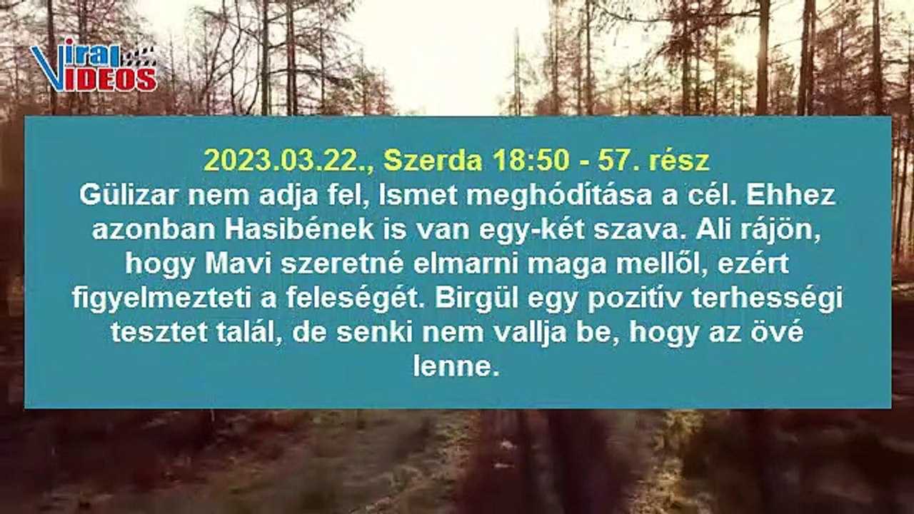 Mavi szerelme 55-59. rész tartalma