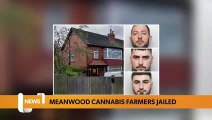 Leeds headlines 7 March: Cannabis farmers tending to £1million Leeds suburban home operation claimed they moved in the day before