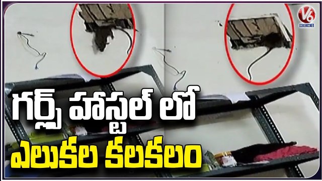 Rats Fear In Kakatiya University Girls Hostel ,Two Students Got Hurt With Rat bites _Warangal _ V6
