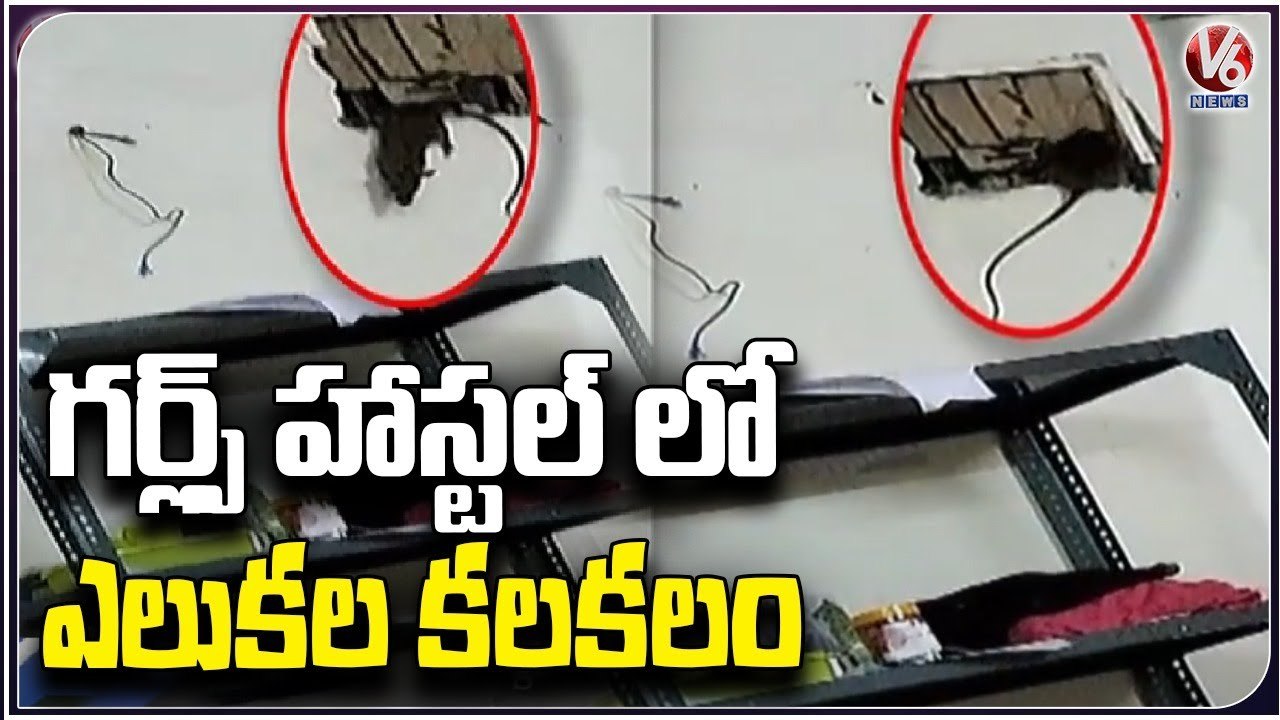 Rats Fear In Kakatiya University Girls Hostel ,Two Students Got Hurt With Rat bites _Warangal _ V6
