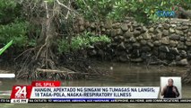 Hangin, apektado ng singaw ng tumagas na langis; 18 taga-Pola, nagka-respiratory illness | 24 Oras