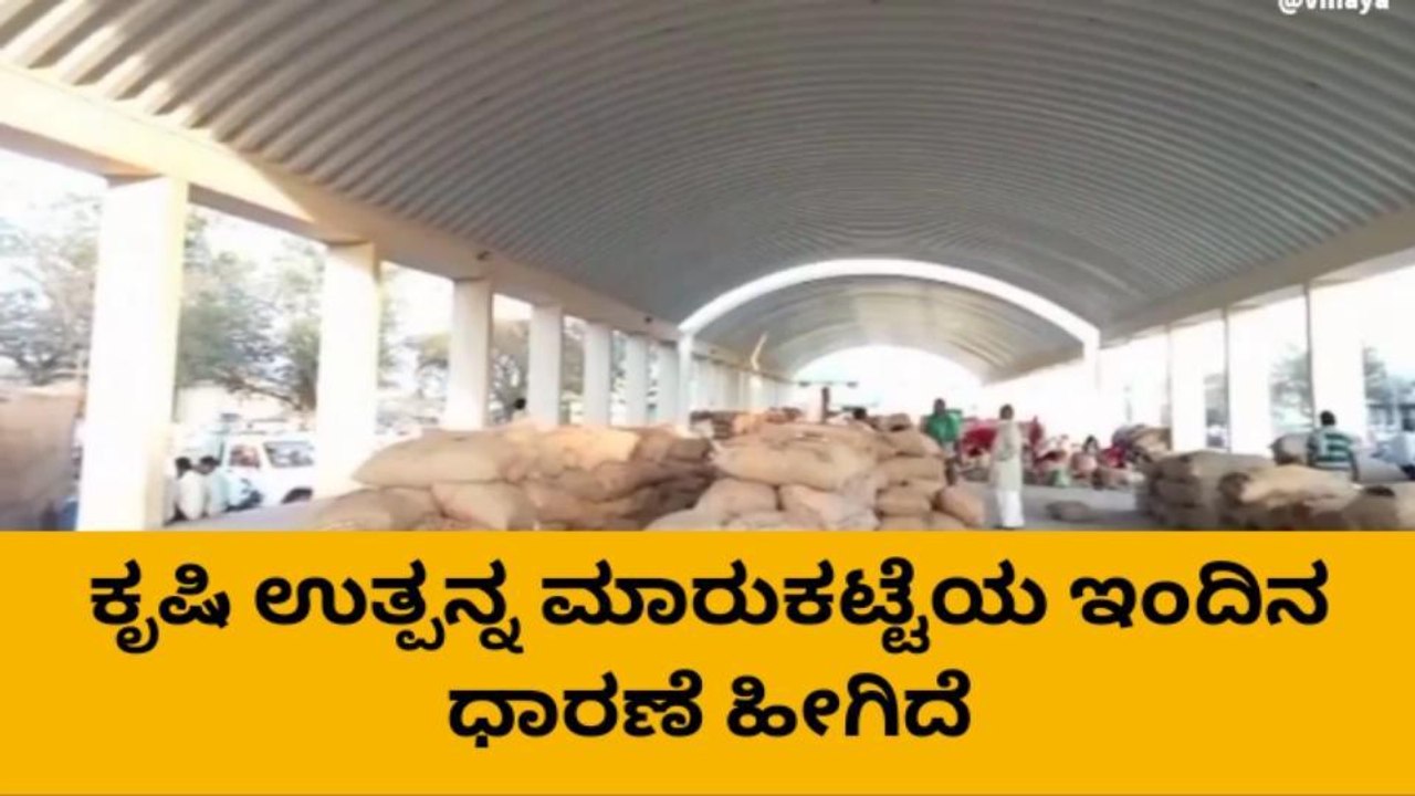ಗದಗ : ಕೃಷಿ ಮಾರುಕಟ್ಟೆಯಲ್ಲಿ ಅಜವಾನಕ್ಕೆ ಉತ್ತಮ ದರ
