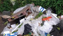Birmingham headlines: Fly-tipper dumped rotten vegetables near primary school