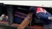 Narkotik köpeği 'Resim' ile yapılan aramada 4 buçuk kilogram esrar ele geçirildi
